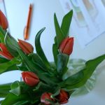 Praxis Impression, Tulpen